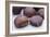 Sweet Chestnuts-Maxine Adcock-Framed Photographic Print