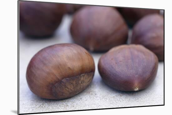 Sweet Chestnuts-Maxine Adcock-Mounted Photographic Print