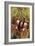 Sweet Chestnuts-Colin Varndell-Framed Photographic Print