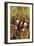 Sweet Chestnuts-Colin Varndell-Framed Photographic Print