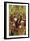 Sweet Chestnuts-Colin Varndell-Framed Photographic Print