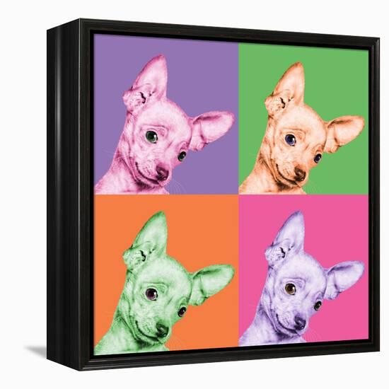 Sweet Chihuahua Pop-Jon Bertelli-Framed Stretched Canvas