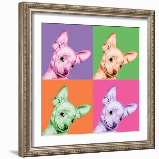 Sweet Chihuahua Pop-Jon Bertelli-Framed Photographic Print