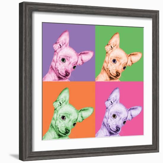 Sweet Chihuahua Pop-Jon Bertelli-Framed Photographic Print