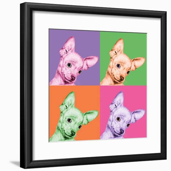 Sweet Chihuahua Pop-Jon Bertelli-Framed Photographic Print