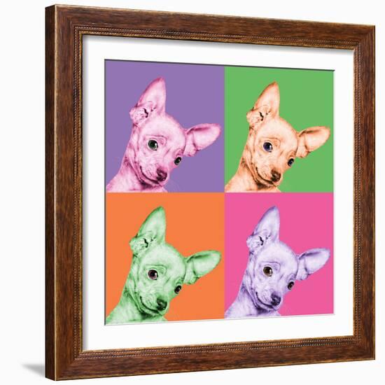 Sweet Chihuahua Pop-Jon Bertelli-Framed Photographic Print