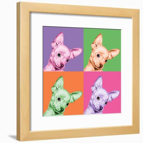 Sweet Chihuahua Pop-Jon Bertelli-Framed Photographic Print