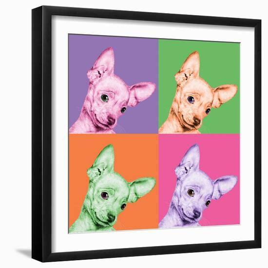 Sweet Chihuahua Pop-Jon Bertelli-Framed Photographic Print