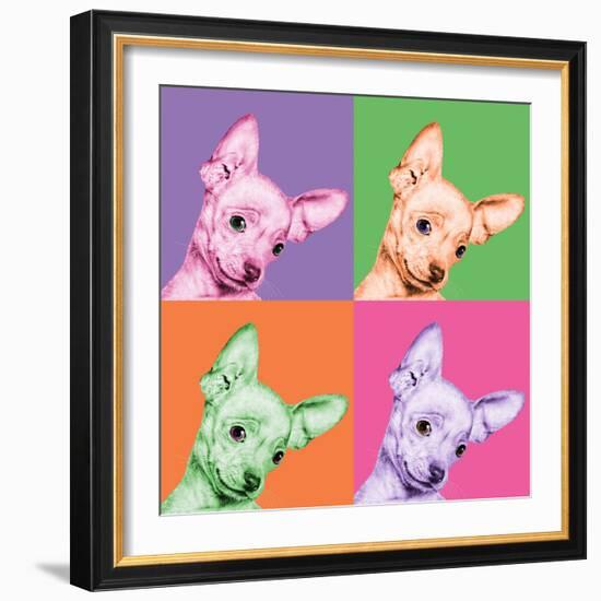 Sweet Chihuahua Pop-Jon Bertelli-Framed Photographic Print