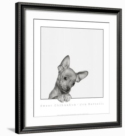Sweet Chihuahua-Jon Bertelli-Framed Art Print