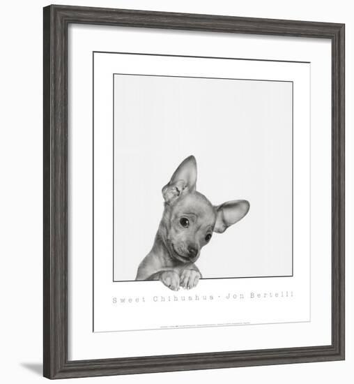 Sweet Chihuahua-Jon Bertelli-Framed Art Print