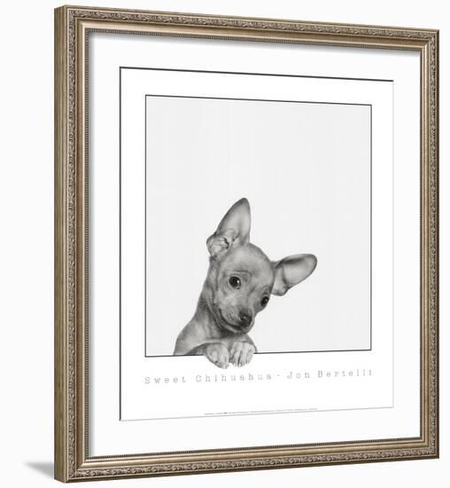 Sweet Chihuahua-Jon Bertelli-Framed Art Print