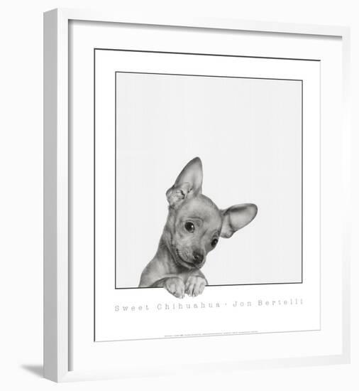 Sweet Chihuahua-Jon Bertelli-Framed Art Print