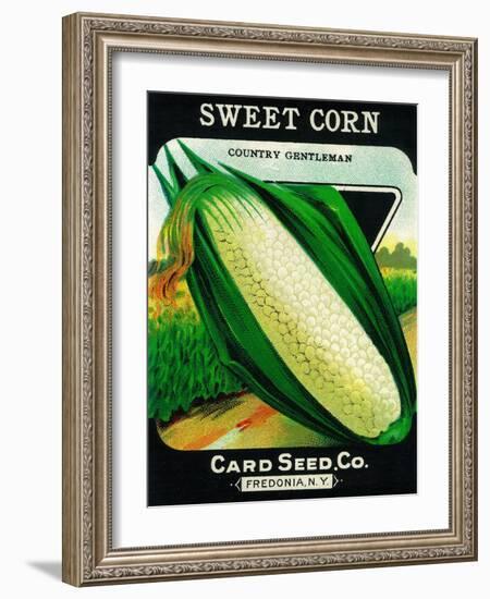 Sweet Corn Seed Packet-Lantern Press-Framed Art Print