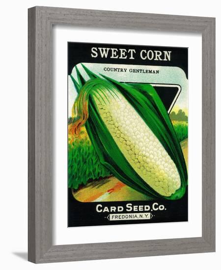 Sweet Corn Seed Packet-Lantern Press-Framed Art Print