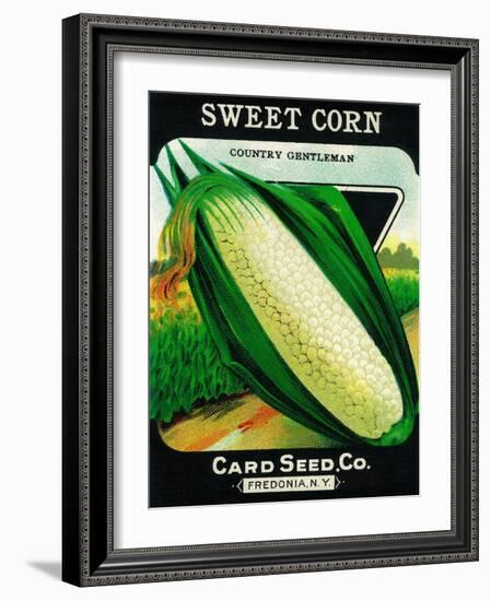 Sweet Corn Seed Packet-Lantern Press-Framed Art Print