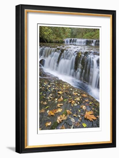 Sweet Creek Falls I-Donald Paulson-Framed Giclee Print
