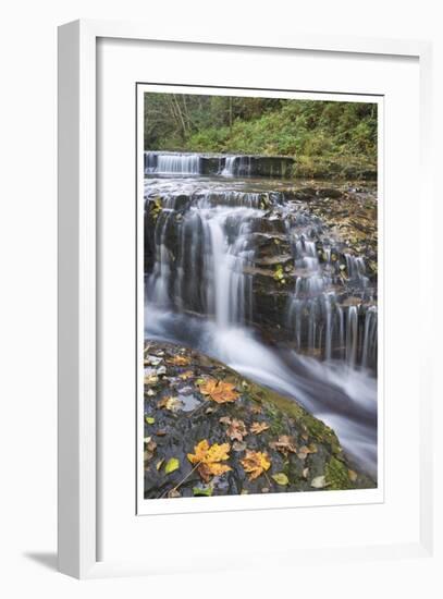 Sweet Creek Falls II-Donald Paulson-Framed Giclee Print