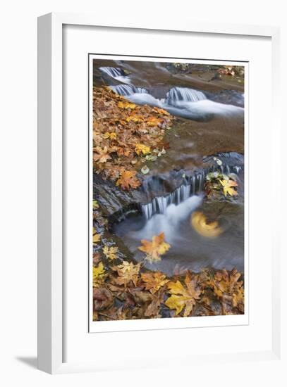 Sweet Creek Falls III-Donald Paulson-Framed Giclee Print