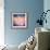 Sweet Delights-Joel Christopher Payne-Framed Giclee Print displayed on a wall