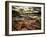 Sweet Dreams-Stephen Arens-Framed Photographic Print