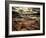 Sweet Dreams-Stephen Arens-Framed Photographic Print