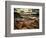 Sweet Dreams-Stephen Arens-Framed Photographic Print