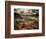 Sweet Dreams-Stephen Arens-Framed Photographic Print