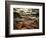 Sweet Dreams-Stephen Arens-Framed Photographic Print