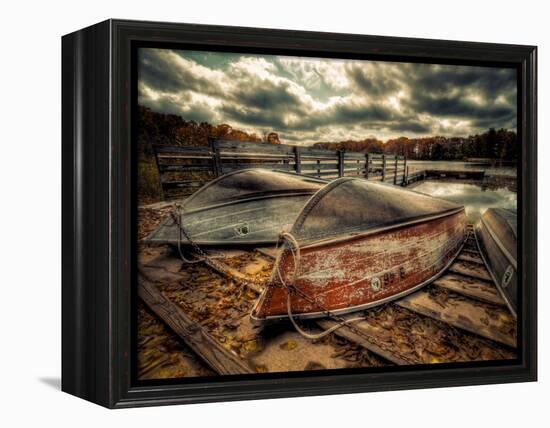 Sweet Dreams-Stephen Arens-Framed Premier Image Canvas