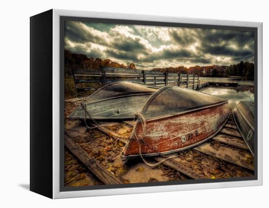 Sweet Dreams-Stephen Arens-Framed Premier Image Canvas