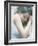 Sweet Dreams-Dimitri Caceaune-Framed Photographic Print