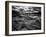 Sweet Dreams-Stephen Arens-Framed Photographic Print