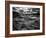 Sweet Dreams-Stephen Arens-Framed Photographic Print