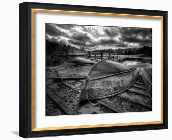 Sweet Dreams-Stephen Arens-Framed Photographic Print