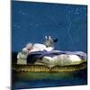 Sweet Dreams-Nancy Tillman-Mounted Art Print