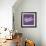 Sweet Dreams-Ashley Santoro-Framed Giclee Print displayed on a wall