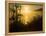 Sweet Fennel, Foeniculum Vulgare, and Sunset over Big Sur Coastline, California, Usa-Paul Colangelo-Framed Premier Image Canvas