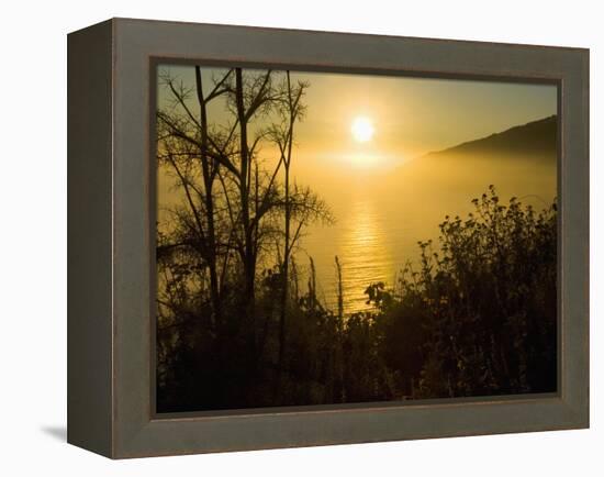 Sweet Fennel, Foeniculum Vulgare, and Sunset over Big Sur Coastline, California, Usa-Paul Colangelo-Framed Premier Image Canvas