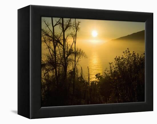 Sweet Fennel, Foeniculum Vulgare, and Sunset over Big Sur Coastline, California, Usa-Paul Colangelo-Framed Premier Image Canvas