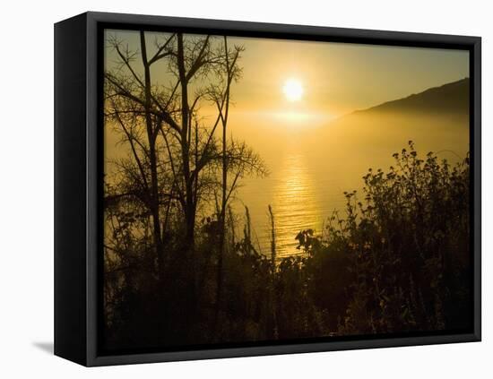 Sweet Fennel, Foeniculum Vulgare, and Sunset over Big Sur Coastline, California, Usa-Paul Colangelo-Framed Premier Image Canvas