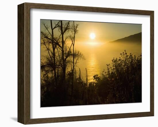 Sweet Fennel, Foeniculum Vulgare, and Sunset over Big Sur Coastline, California, Usa-Paul Colangelo-Framed Photographic Print