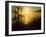 Sweet Fennel, Foeniculum Vulgare, and Sunset over Big Sur Coastline, California, Usa-Paul Colangelo-Framed Photographic Print