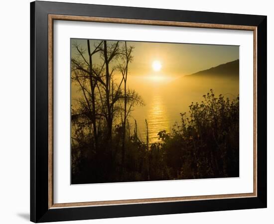 Sweet Fennel, Foeniculum Vulgare, and Sunset over Big Sur Coastline, California, Usa-Paul Colangelo-Framed Photographic Print