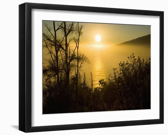 Sweet Fennel, Foeniculum Vulgare, and Sunset over Big Sur Coastline, California, Usa-Paul Colangelo-Framed Photographic Print