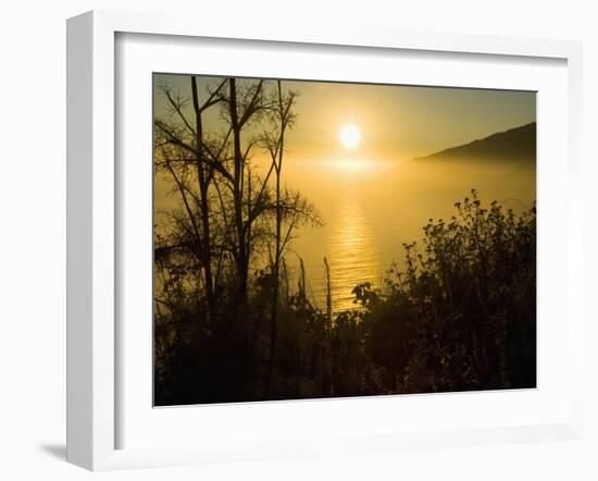 Sweet Fennel, Foeniculum Vulgare, and Sunset over Big Sur Coastline, California, Usa-Paul Colangelo-Framed Photographic Print