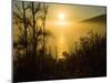 Sweet Fennel, Foeniculum Vulgare, and Sunset over Big Sur Coastline, California, Usa-Paul Colangelo-Mounted Photographic Print