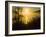 Sweet Fennel, Foeniculum Vulgare, and Sunset over Big Sur Coastline, California, Usa-Paul Colangelo-Framed Photographic Print