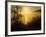 Sweet Fennel, Foeniculum Vulgare, and Sunset over Big Sur Coastline, California, Usa-Paul Colangelo-Framed Photographic Print