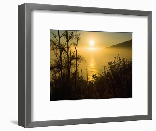 Sweet Fennel, Foeniculum Vulgare, and Sunset over Big Sur Coastline, California, Usa-Paul Colangelo-Framed Photographic Print